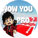 PRO ???