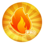 Pro Firefighter