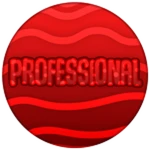 PROFESSIONAL
