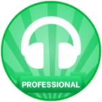 Professional DJ