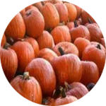 Pumpkin Kingdom [LIMITED]
