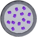 Purple Crystal Pizza