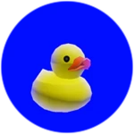 Quack Quack!