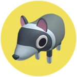 Raccoon