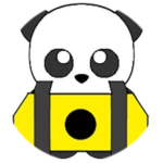 Radioactive Panda