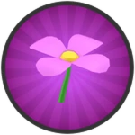 Raid Flower Field!