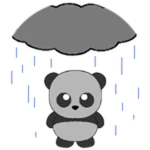 Rainy Panda