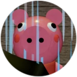 Rainy Piggy