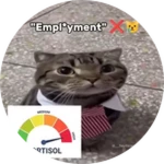 Reach 1M money