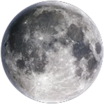 Reached The Moon!