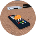 Remotely Fun