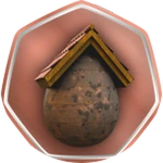 Rooftop Egg