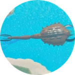SCP169