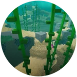 Sea Cavern