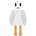 Seagull Noobie