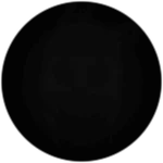 Secret Character VIII