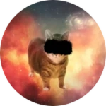 Secret Meow