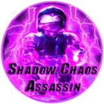 Shadow Chaos Assassin