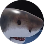shark.png