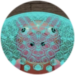 Shielded Piggy