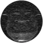 Shrek