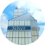 Silver Tower