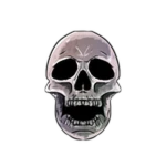Skull Seeker