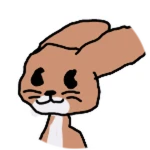slungus pro