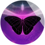 Social Butterfly