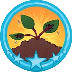 Sower IV