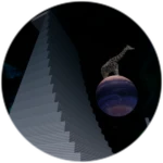 Space Training Wall