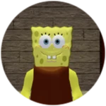 Sponge Piggy