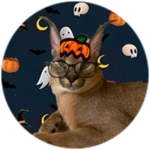 spooky scary skelingtons