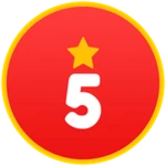 Stage 5