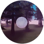Starlight Bubble