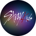 Stray Kids Concert