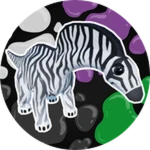 Striped Amarga Colors