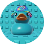 Summer Duck