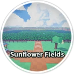 Sunflower Fields