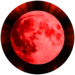 Survived a Blood Moon