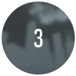 Survived Wave 3