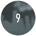 Survived Wave 9
