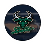 Team Bulls