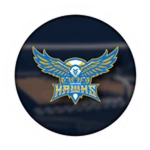 Team Hawks