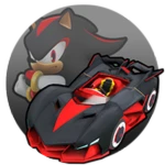 Team Shadow Grand Prix