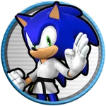 Team Sonic!