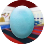 The Blue Egg