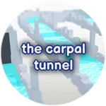 the carpal tunnel