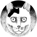 The Cat with a Cursed Face