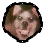 THE DEMONIC DOG!